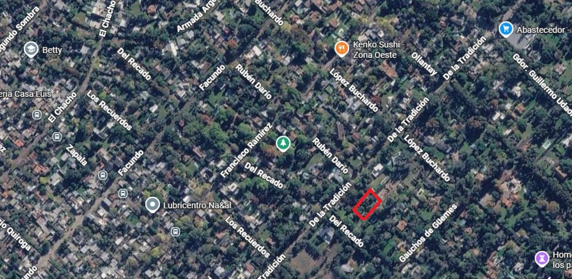 Venta lote terreno 12 x 36mts Leloir Udaondo