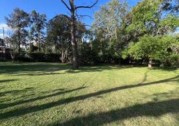 Venta lote terreno 12 x 25mts Paso del Rey